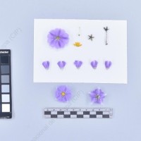 CIP 761575_OCH 13280_buk_F_2024.jpg