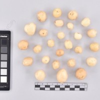 CIP 761831_OCH 13830_buk_T_2024.jpg