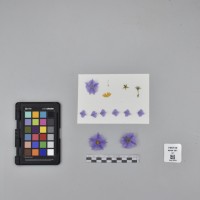 CIP765739_RPSP 061_F.JPG