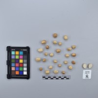 CIP760585_VSOA 54_T.JPG