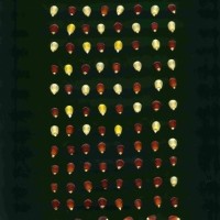 CIMMYTMA 30818 PHIL 11353a PV18A-1902-58 K.jpg