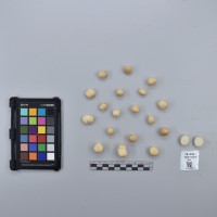 CIP761962_OCH 14283_T.JPG