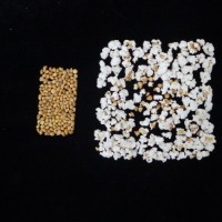 Popped and not popped comparison.jpg