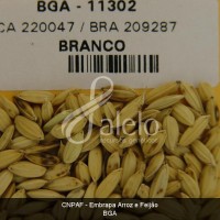BRA00008637-1.JPG