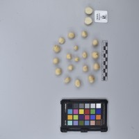 CIP760456_HHA 6604_T.JPG