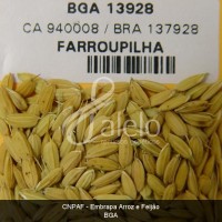 BRA00011226-8.JPG
