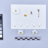 CIP 761069_OCHS 11059_chq_F_2024.jpg