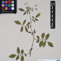 CIP 762631_OCHS 12596_17.jpg