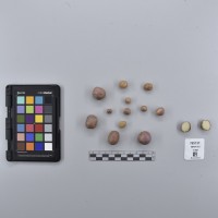 CIP765737_RPSP 053_T.JPG