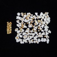 Popped and not popped comparison.jpg