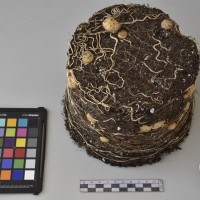 CIP760585_VSOA 54_Tb.JPG