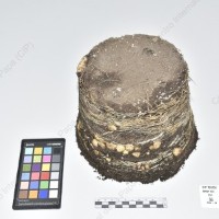 CIP 765791_RPSP 113_bhk_Tb_2024.jpg