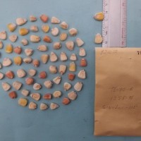 CIMMYTMA 7221 - Reference inventory.jpg