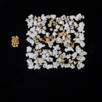 Popped and not popped comparison.jpg