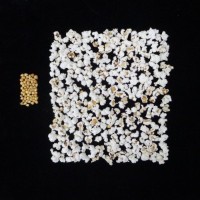 Popped and not popped comparison.jpg