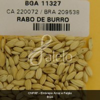 BRA00008662-9.JPG