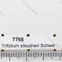 7765.jpg