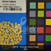 BRA00034556-1.JPG