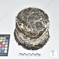 CIP 761104_FB 5080_cmm_Tb_2024.jpg