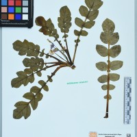 200118_OCH 11603 CIP 761024.JPG