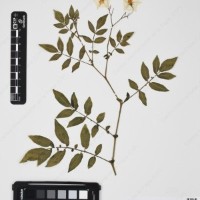 CIP 760438_HHA 6540_02.jpg