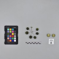 CIP761031_OCH 11965_B.JPG