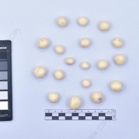 CIP 761410_OCH 12040_rap_T_2024.jpg