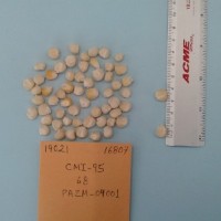 CIMMYTMA 19021 - Reference Inventory.jpg