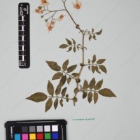 CIP 760305_HHCH 4728_10.jpg