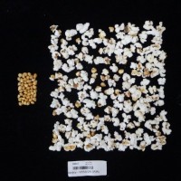 Popped and not popped comparison labeled.jpg