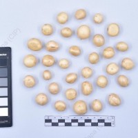 CIP 761097_FB 4025C50.1_cmm_T_2024.jpg