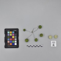 CIP760458_HHA 6613_B.JPG