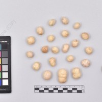 CIP 761287_OCHS 11824_acl_T_2024.jpg