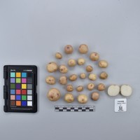 CIP760298_HHCH 4714_T.JPG