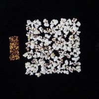 Popped and not popped comparison.jpg