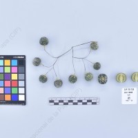 CIP 761739_OCH 13696_buk_B_2024.jpg