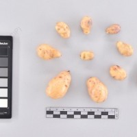 CIP 765958_RPSP 282_mtp_T_2024.jpg