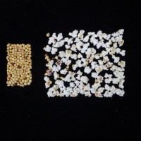 Popped and not popped comparison.jpg