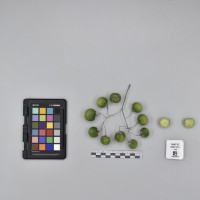 CIP765737_RPSP 053_B.JPG