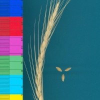 CWI17950_52594_110.jpg