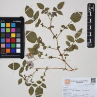 CIP 760428_HHA 6468_01.jpg