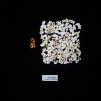 Popped and not popped comparison labeled.jpg