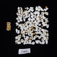 Popped and not popped comparison labeled.jpg