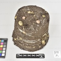 CIP 761235_OCHS 11614_igf_Tb(i).jpg