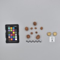 CIP765999_RPSP 322_T.JPG