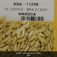 BRA00008593-6.JPG