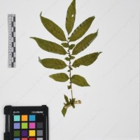 CIP 765722_RPSP 034_12.jpg