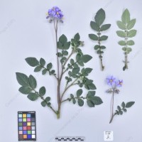 CIP 761021_OCH 13861_buk_H_2024.jpg