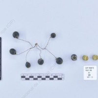 CIP 760873_VSLC 165_acl_B_2024.jpg