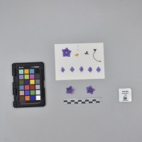 CIP760458_HHA 6613_F .JPG